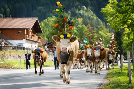 Reither Bauernmarkt mit Almabtrieb und Kirchtagsfest