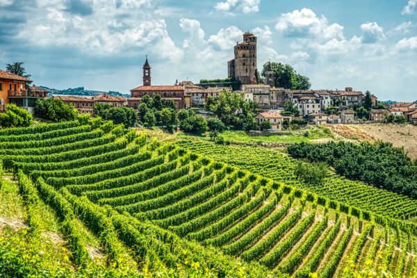 Tulpenfest im Piemont- Asti- Alba- Turin