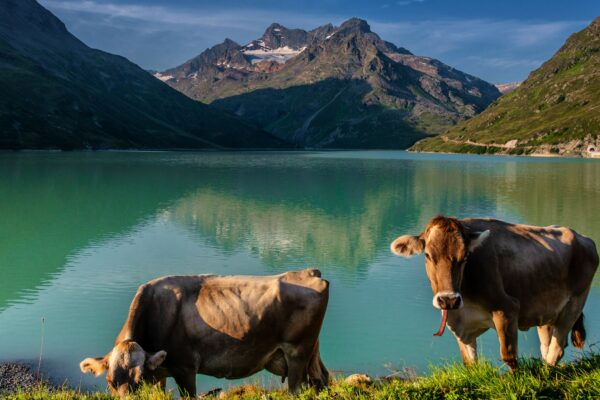 Das Ötztal - Silvretta und Kühtai