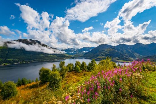 Flug-, Bus- und Schiffsreise nach Schottland