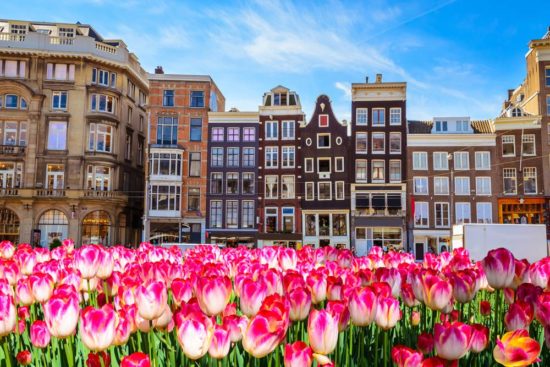 Tulpenblüte und Blumenkorso in Holland